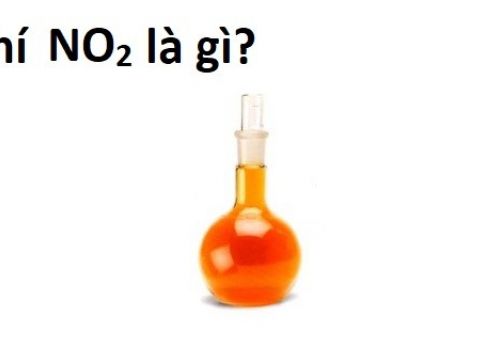 Khí NO2 là gì? Tính chất hóa học của NO2 Nito Đioxit