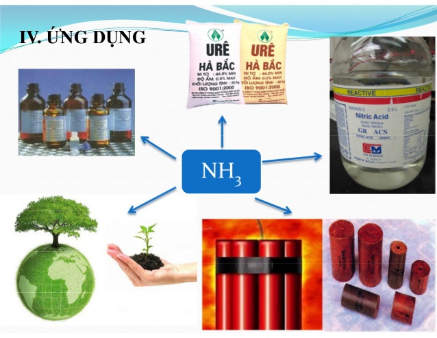 amoniac-long-2